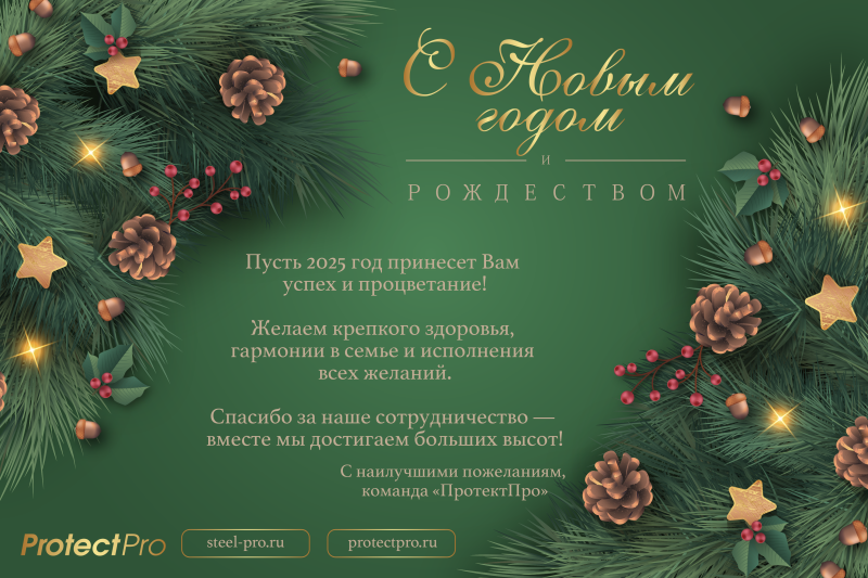 C Новым 2025 годом!